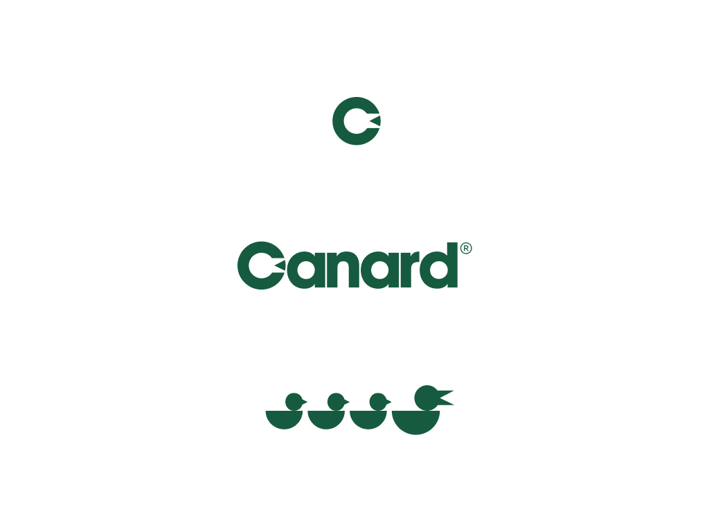 Canard slide 10